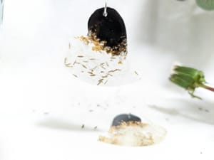 Cercei Papadie - Thumbnail 9